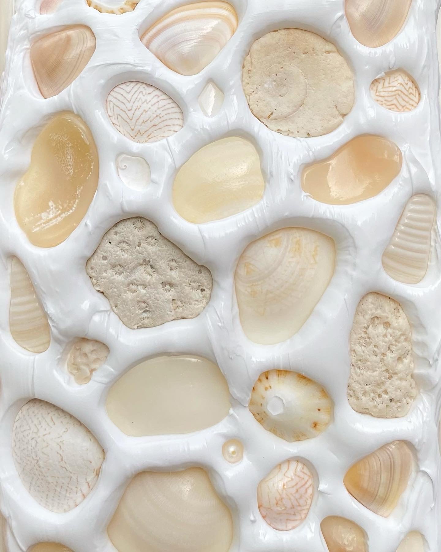 CREAM Natural Seashell Mosaic Phone Case